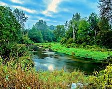 Image result for Landscapes Trees Forest with Stream