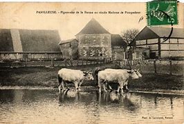 Image result for panilleuse