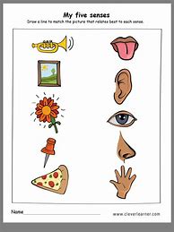 Image result for Kindergarten Senses Worksheet