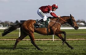 Image result for Horses in Grand National