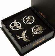 Image result for Hunger Games Mockingjay Pin