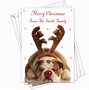 Image result for Animal Christmas Cards