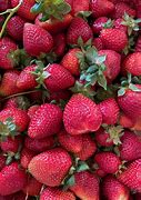 Image result for Bright Red Fruits