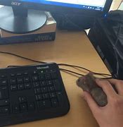 Image result for Cool Gaming Mouse Bing Meme