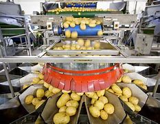 Image result for Food Manufacture