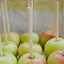 Image result for Best Candy Apple Recipe Ever