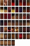 Image result for Hair Color Chart