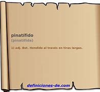 Image result for pinatífido