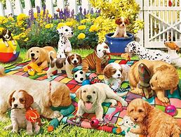 Image result for Dog Puzzles