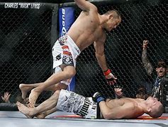 Image result for Deadliest MMA