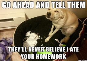 Image result for Dog Eating Homework Meme