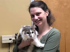 Image result for Veterinary Services