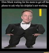 Image result for Elon Musk Dolphin Meme