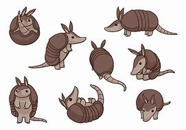 Image result for Animated Armadillo