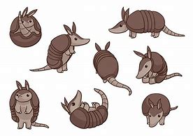 Image result for Armadillo Jokes
