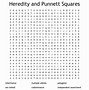 Image result for Punnett Square