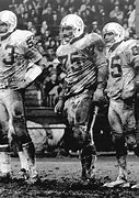 Image result for Dolphins Throwback