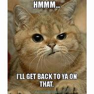Image result for FUNNIEST Animal Quotes