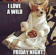 Image result for Funny Friday Weekend