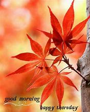Image result for Happy Greetings for the Day
