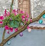 Image result for Hanging Plant Stand