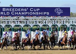 Image result for Breeders' Cup