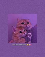 Image result for Kitty Cat PFP