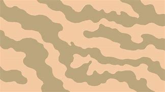 Image result for Desert Camo iPhone Case