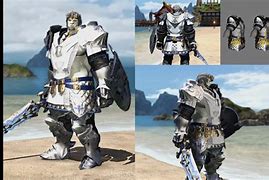 Image result for Paladin Artifact Armor FFXIV