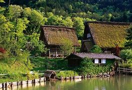 Image result for Shimota Farm Japan