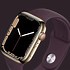 Image result for Apple Iigs Watch