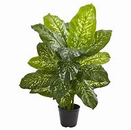 Image result for Artificial Plants