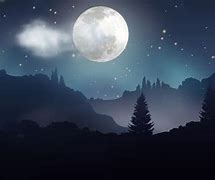 Image result for Dark Forest with Moon 2560X1440 HD