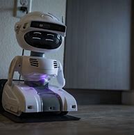 Image result for Interactive Robots for Adults