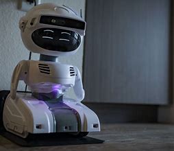 Image result for Personal Robot