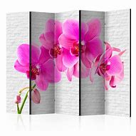 Image result for Short Room Dividers Screens