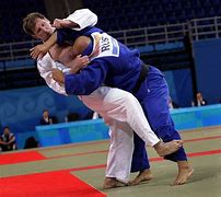 Image result for Judo Sweeps