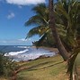 Image result for Animated Tropical Beach Screensaver