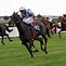 Image result for Horse Racing Background