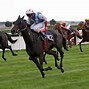 Image result for South African Horse Racing Background