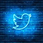 Image result for Neon Twitter Logo.png