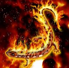 Image result for Mythical Fire Creatures