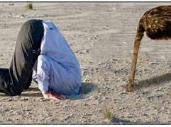 Image result for Ostrich Head in Sand Meme