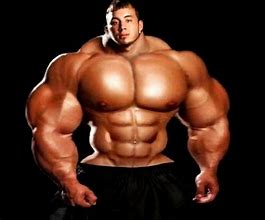 Image result for Muscle Man Bodies