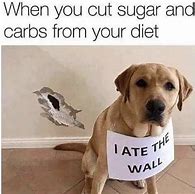 Image result for Animal Diet Meme