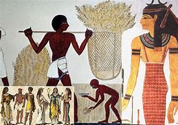 Image result for Ancient Egyptian Peasant Clothing