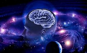 Image result for The Universe Is One Big Brain