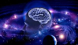 Image result for The Universe Organized Like a Brain