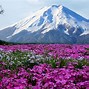 Image result for Best Month to Visit Japan