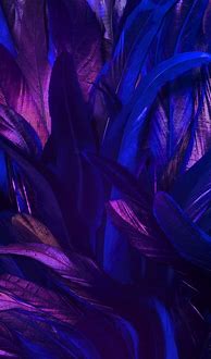 Image result for Purple with Orange Phone Wallpaper